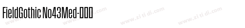 FieldGothic No43Med字体转换